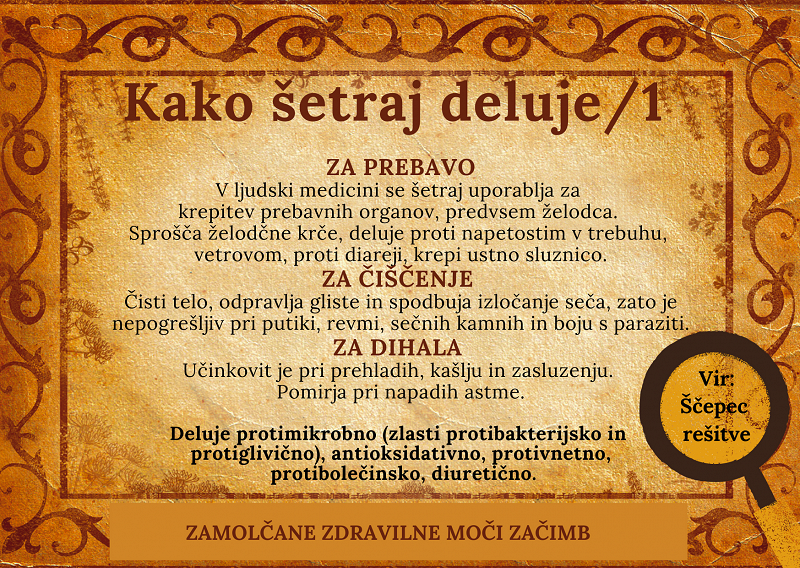 setraj 1